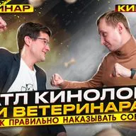 Как правильно наказывать собаку?