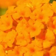 4 стихии. Урок 4. Воздух