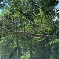 53. Природные катаклизмы