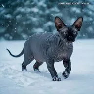 ASMR - Шаги по снегу в -18