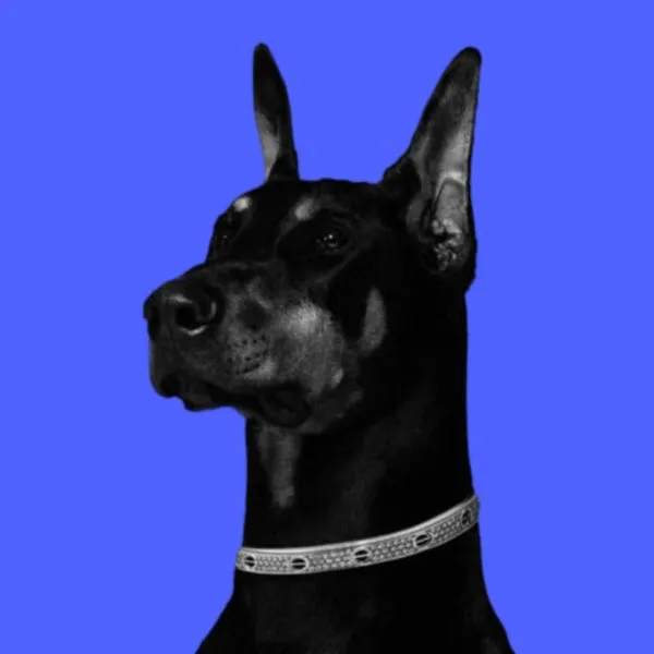 Мужской журнал Doberman.media