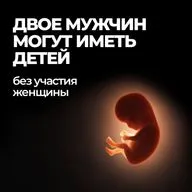 Больше не нужны женщины: Ученые впервые создали человеческие эмбрионы, используя ДНК из клеток кожи. Двое мужчин могут иметь детей без участия женской яйцеклетки