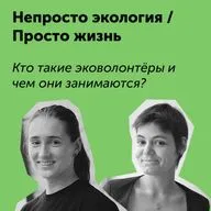 7. Кто такие эковолонтеры и чем они занимаются