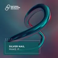 Silver Nail - Make It