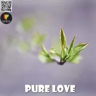 PashaPatin - PURE LOVE 4 