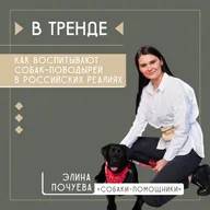 О воспитании собак-поводырей, работе НКО, частных пожертвованиях и помощи бизнеса | В тренде
