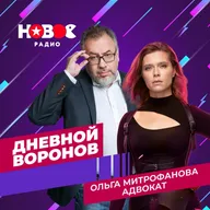 Дневной Воронов: адвокат Ольга Митрофанова (2)