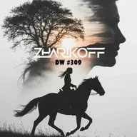 DJ Zharikoff - Deep Weekend #309 #309