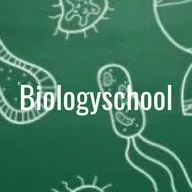 Эволюция систем органов хордовых.