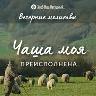  ЧАША МОЯ ПРЕИСПОЛНЕНА | Вечерние размышления
