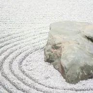 167. Человек, искусственный интеллект и дзен