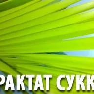 Талмуд. Трактат Сукка 148. Повторение трактата Сукка. Законы Ивы