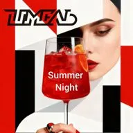 DJ Шмель - Summer Night 2026