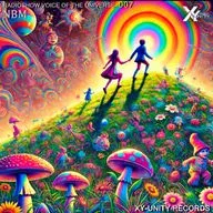 XY-unity NBM - Radioshow Voice of the Universe #7