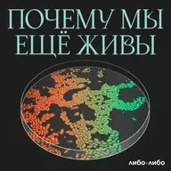Опрос слушателей подкаста «Почему мы ещё живы»