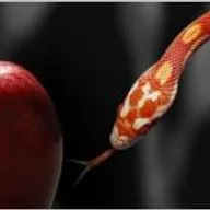 Как побеждать искушения?