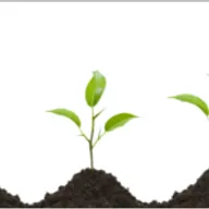 Как возрастать в молитве?