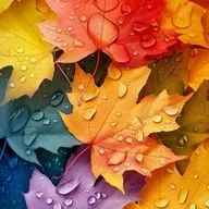 DJ ANDREY SANIN - THE LAST WARM DAYS OF OUR AUTUMN (2025)
