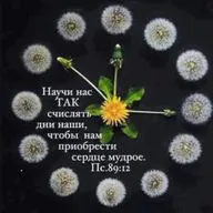 Стих: слова