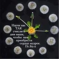 Стих: жить нужно так