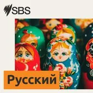Новости SBS на русском языке — 21.08.2026