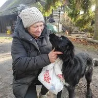 Волки или медведь? Нападения на домашних животных беспокоят жителей Латгалии