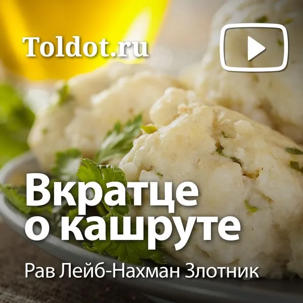 Рав Лейб-Нахман Злотник  — Вкратце о кашруте