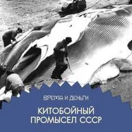 Киты. Как пролить океаны крови зря