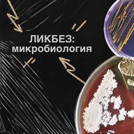 ЛИКБЕЗ: МИКРОБИОЛОГИЯ