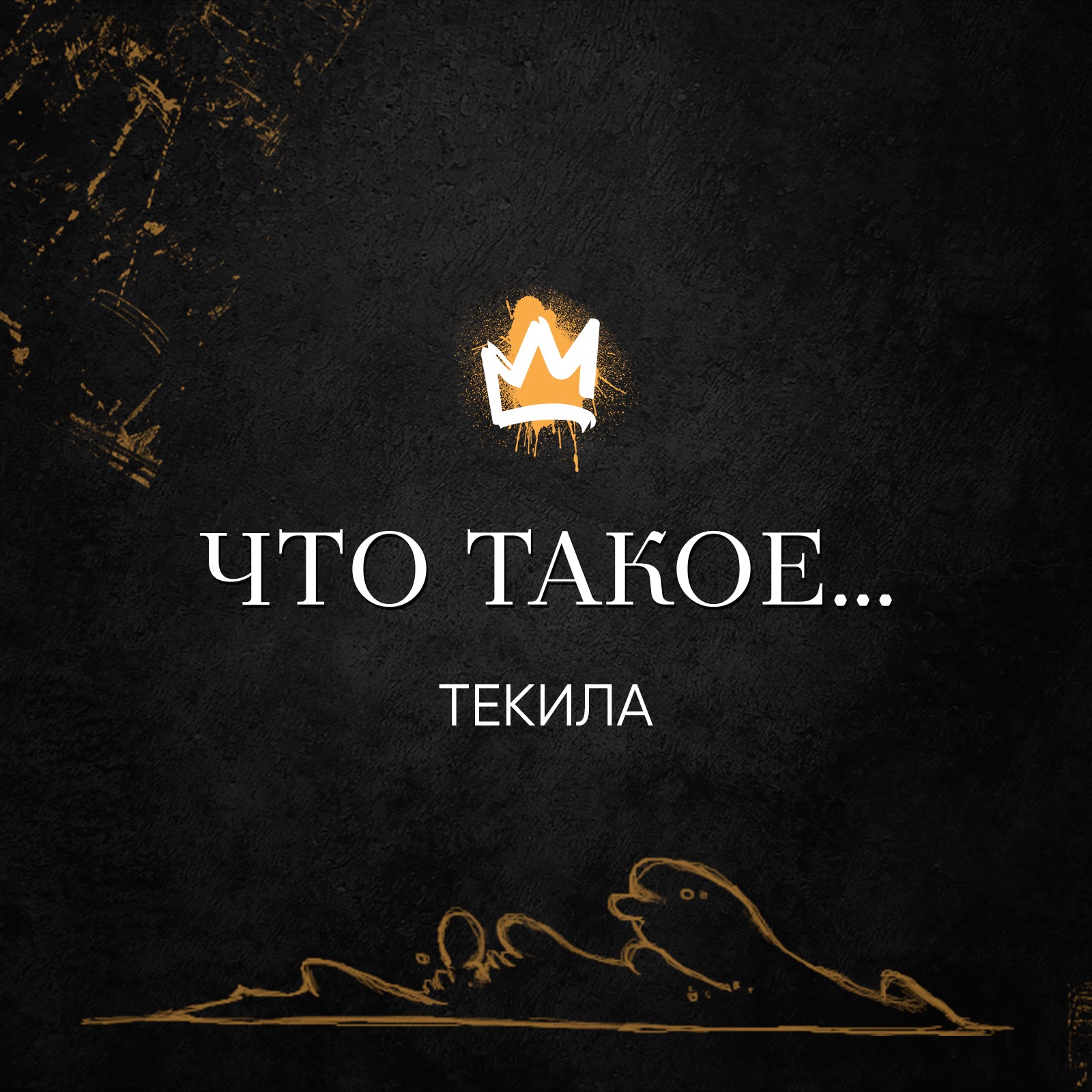 Рубрика «Что такое…» – Текила: откуда она и как ее пить