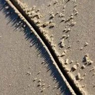 "Тонкая грань истины" Ковалевич Ю.mp3