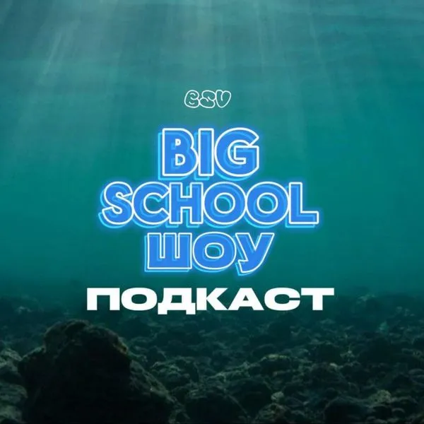 BIG SCHOOL ШОУ
