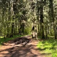 разговор с самим собой #1