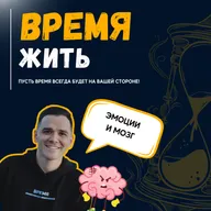 Эмоции и мозг. Подключаем эмоциональный интеллект