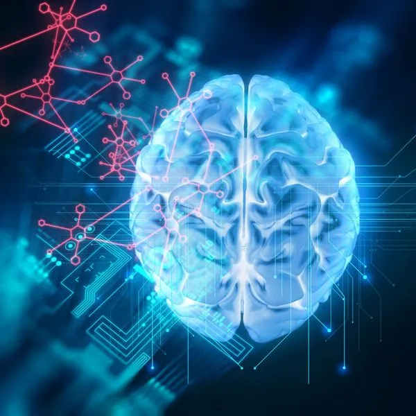 Между ушами