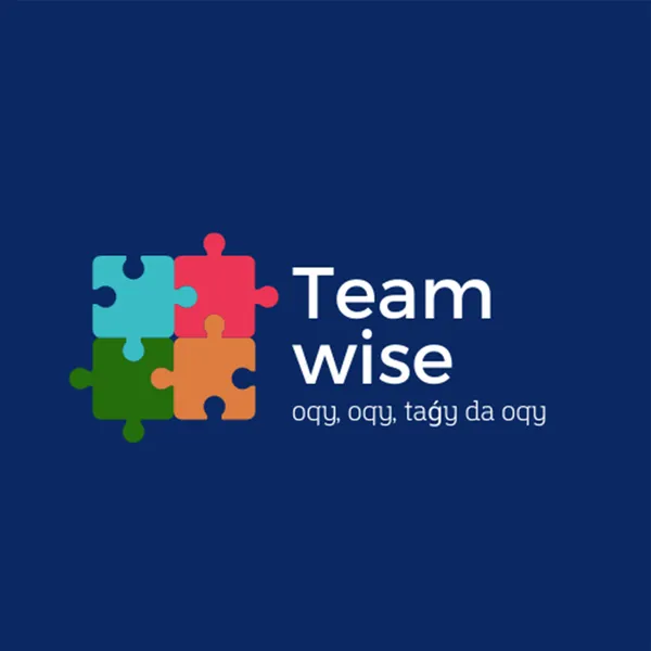 Teamwise