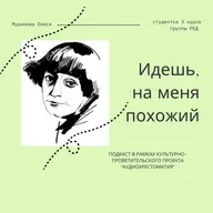 Идешь, на меня похожий..