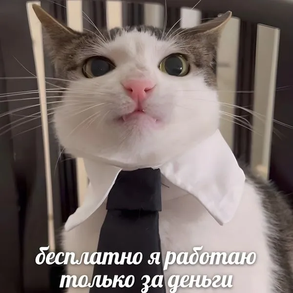 Групповая динамика