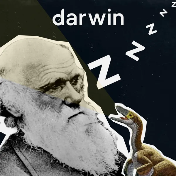 Борьба с бессонницей: секреты, как быстро уснуть от врача