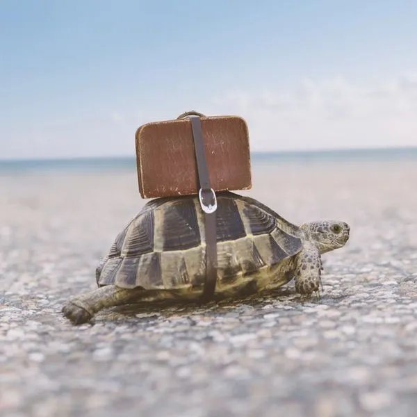 Путь к цели.