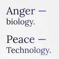 Point 16: Hacking Aggression. From Instinct to Technology