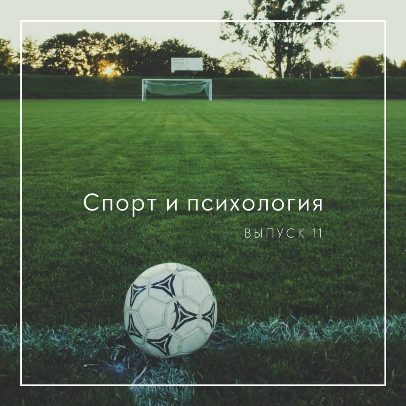 Спорт и психология episode artwork