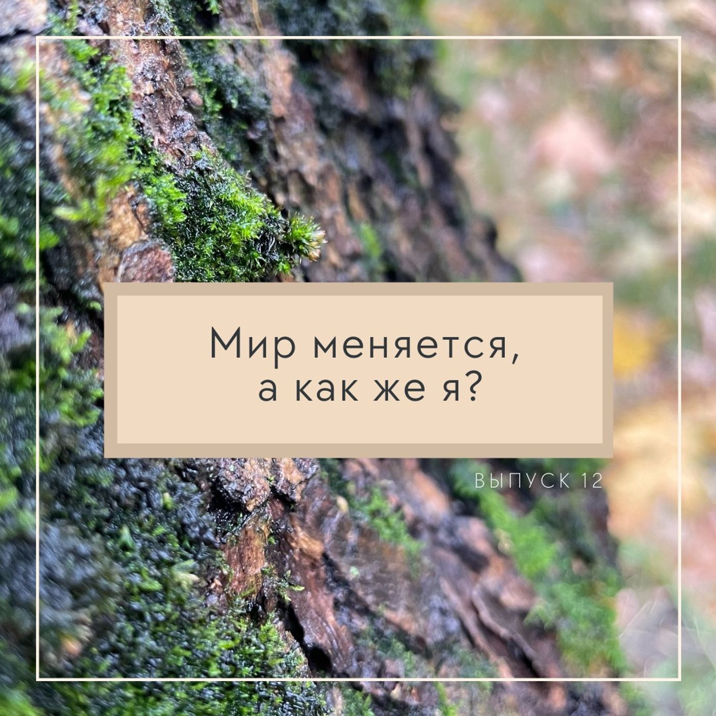 Мир меняется, а как же я? episode artwork