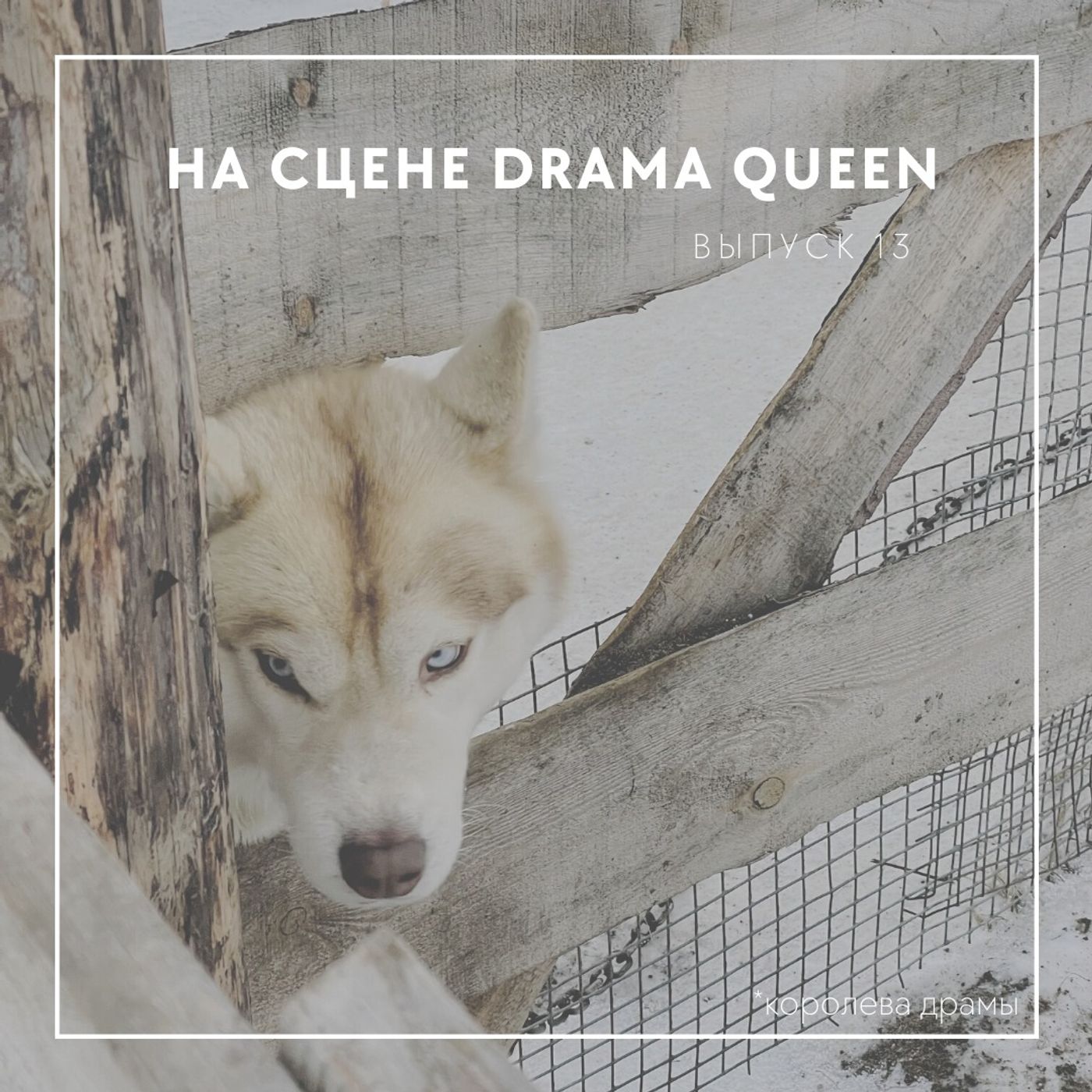 На сцене drama queen episode artwork