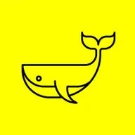 Факты про КИТОВ