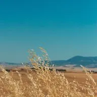 Упражнение "Мысли-облака"