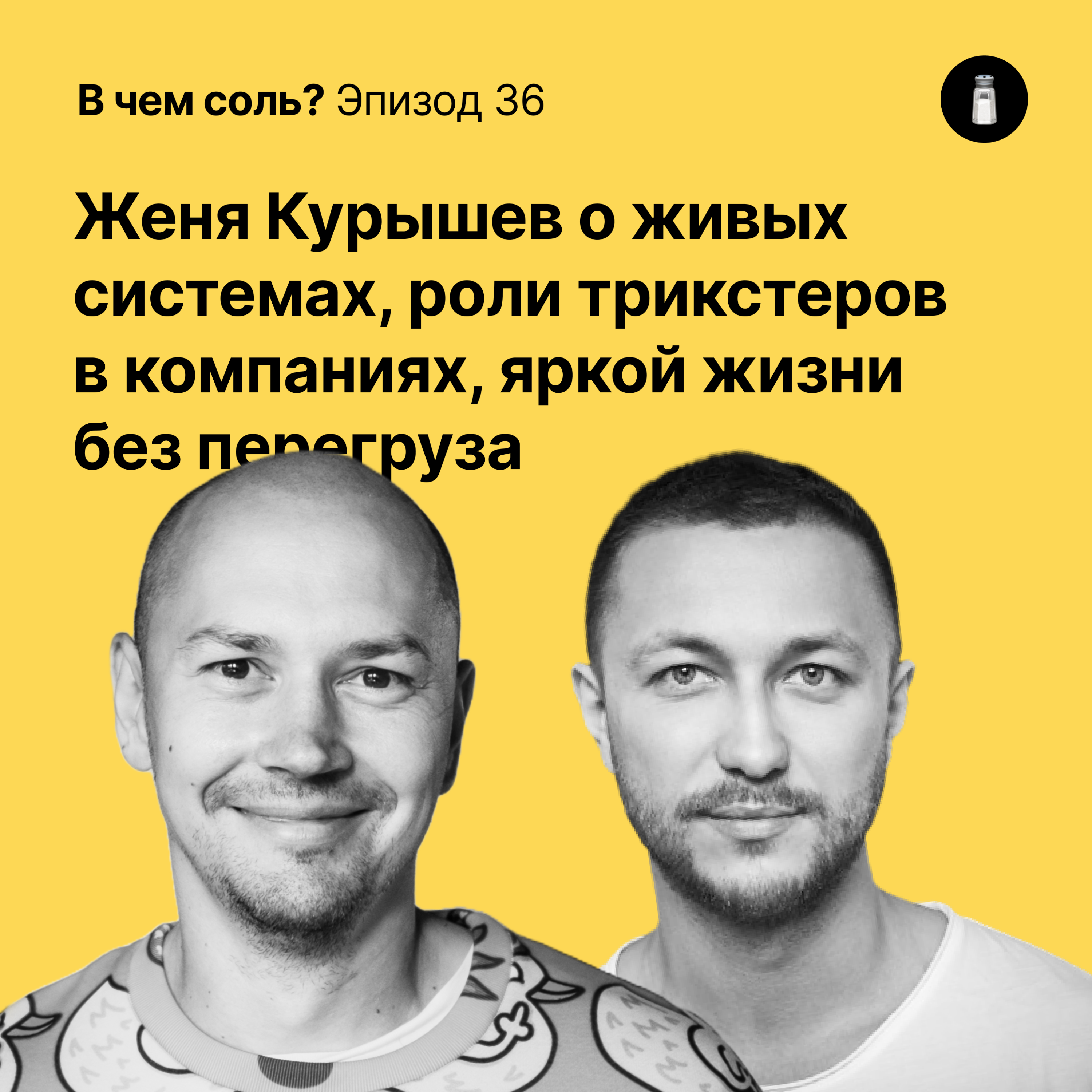 Подкаст Соли #36: Женя Курышев о живых системах, роли трикстеров в компаниях, яркой жизни без перегруза podcast