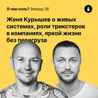Подкаст Соли #36: Женя Курышев о живых системах, роли трикстеров в компаниях, яркой жизни без перегруза
