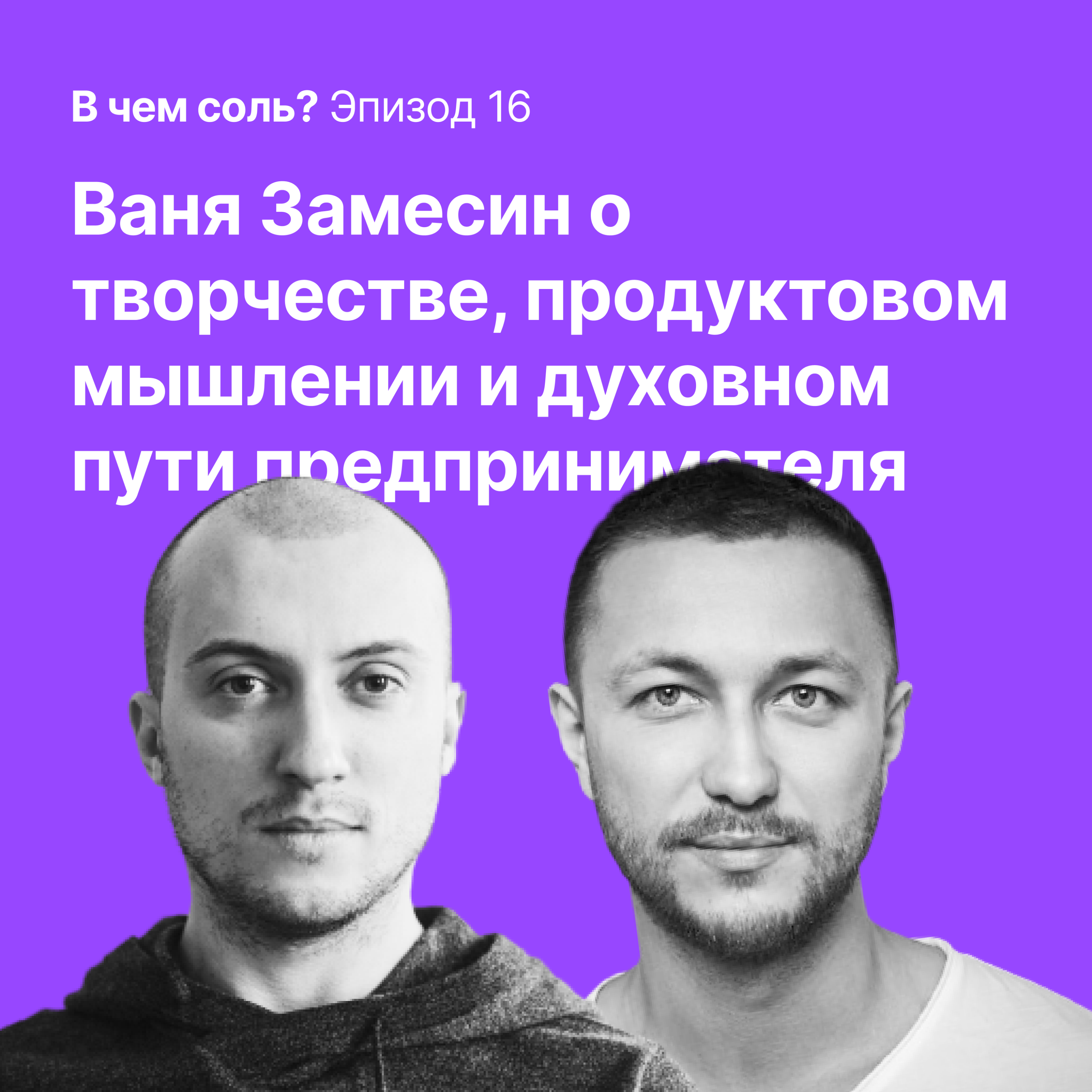 В чем соль #16. Иван Замесин о творчестве, продуктах, инсайтах и духовном пути предпринимателя podcast