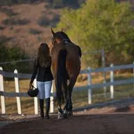 Почему люди считают конный спорт легким?